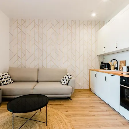 公寓 Sielska Apartament Z Balkonem Przy Plazy Ukiel 奥尔什丁